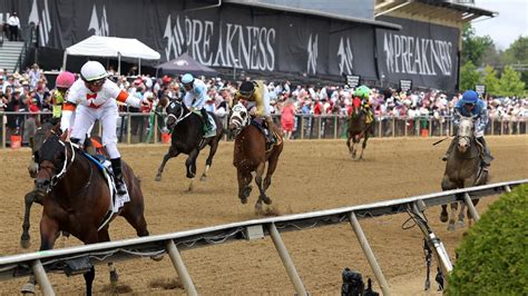 preakness handicapping picks